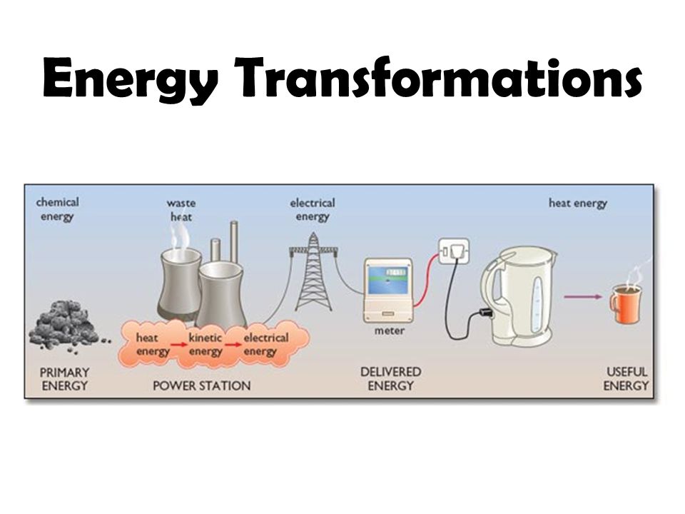 Bioenergetics : Study of Free Energy Transformation and its changes